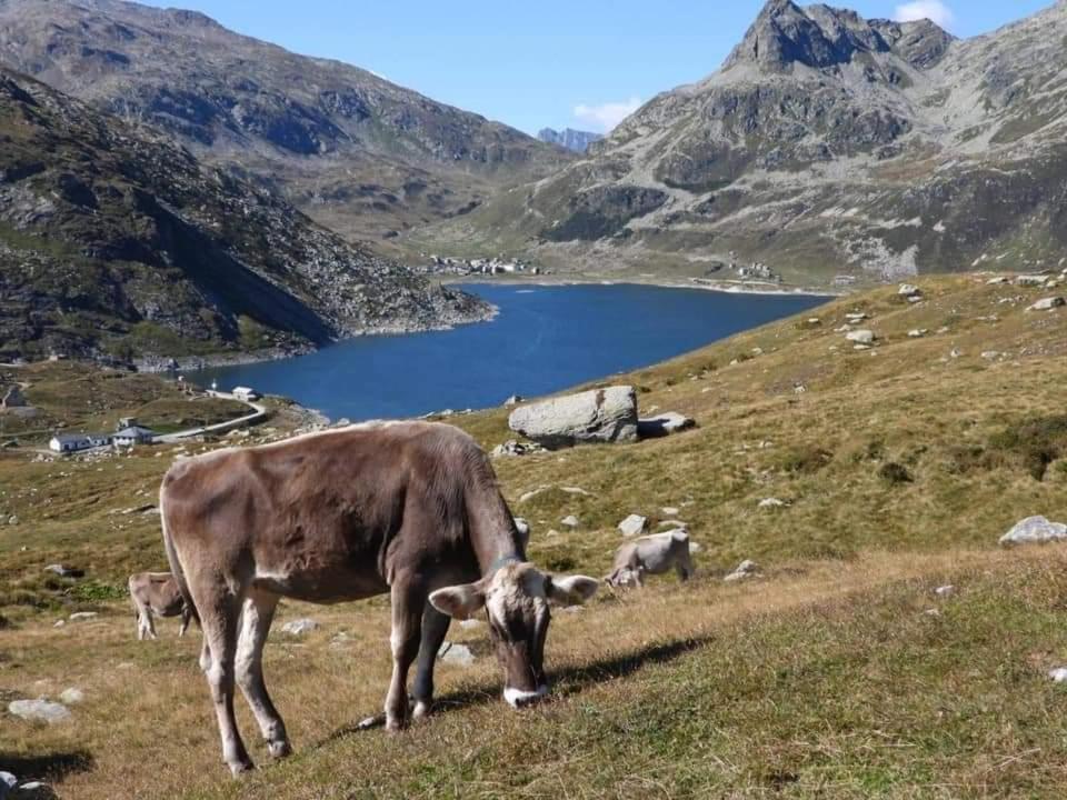 Mansarda Vista Lago A Камподолчино Екстериор снимка